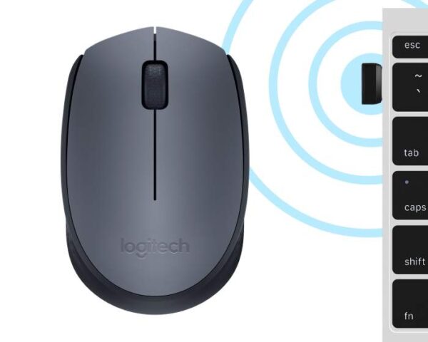 Souris sans fil Logitech M170 – Gris