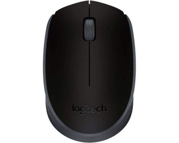 Souris sans fil Logitech M171 - Noir